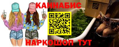a pvp Камышлов