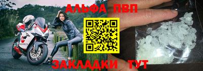 шишки Кандалакша