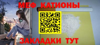 шишки Кандалакша